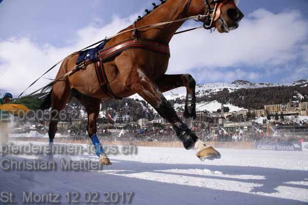 ET0Q0526.2 prot